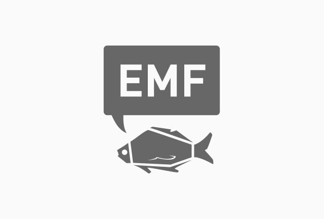 EMF Verlag